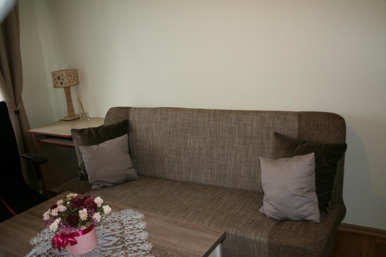 Cosy One Room Apartment Wilno Zewnętrze zdjęcie